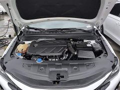 Ruicheng CC Blue Whale Edition 1.5T DCT Luxury - фото 16