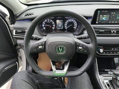 Ruicheng CC Blue Whale Edition 1.5T DCT Luxury - фото 7