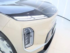 NIO ES9 102kWh Horizon Channel Special Edition - фото 13