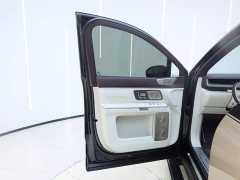 NIO ES9 102kWh Horizon Channel Special Edition - фото 17