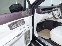 NIO ES9 102kWh Horizon Channel Special Edition - фото 19