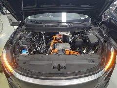 Hongqi E-QM5 610km PLUS - фото 20