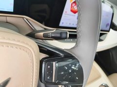 Hongqi Tiangong 08 730 Max rear-wheel drive version - фото 14