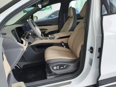 Hongqi Tiangong 08 730 Max rear-wheel drive version - фото 15