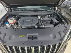 Hongqi HS5 2023 2.0T Qixiang Pro version - фото 20