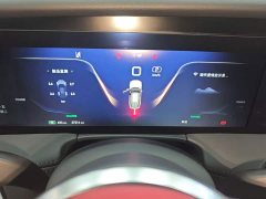 Hongqi E-HS9 690km flagship version six seats - фото 12