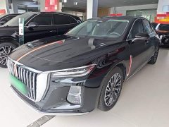 Hongqi H5 2.0T automatic Qichang version - фото 2