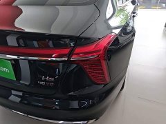 Hongqi H5 2.0T automatic Qichang version - фото 8