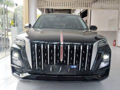 Hongqi HS5 2.0T two-wheel drive Qixiang Pro version - фото 3