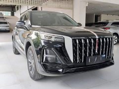 Hongqi HS5 2.0T two-wheel drive Qixiang Pro version - фото 4