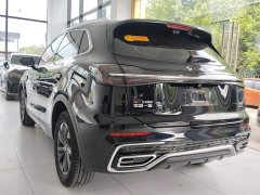 Hongqi HS5 2.0T two-wheel drive Qixiang Pro version - фото 5