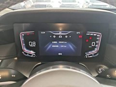 Hongqi H5 2.0T Automatic Intelligent Connected Flag Edition - фото 12