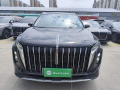 Hongqi HS7 PHEV 2.0T PHEV four-wheel drive Qichang version 6 seats - фото 3