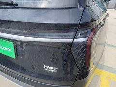 Hongqi HS7 PHEV 2.0T PHEV four-wheel drive Qichang version 6 seats - фото 8