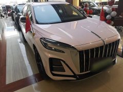 Hongqi HS3 PHEV 2025 117km Jinwei Edition - фото 4