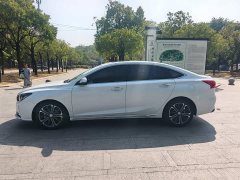 Ruicheng CC Blue Whale Edition 1.5T DCT Luxury - фото 4