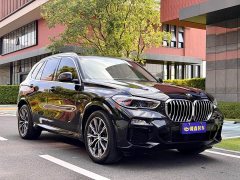BMW X5 New Energy (Imported) xDrive45e M Sports Package - фото 3