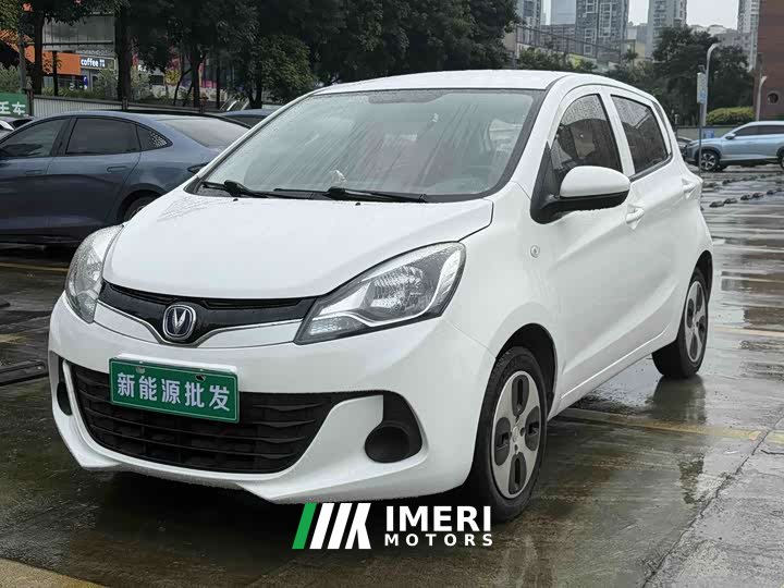 Changan Benben E-Star National Edition Xinyue Edition Lithium Iron Phosphate (31.95kWh) - автомобиль из Китая