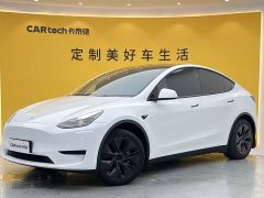 Tesla Model Y rear-wheel drive version - фото 1