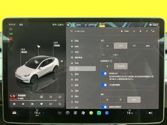 Tesla Model Y rear-wheel drive version - фото 14