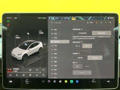 Tesla Model Y rear-wheel drive version - фото 15