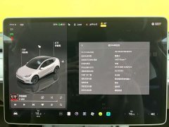 Tesla Model Y rear-wheel drive version - фото 17
