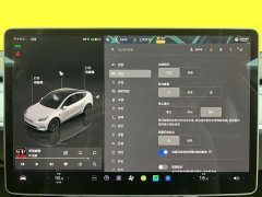 Tesla Model Y rear-wheel drive version - фото 9