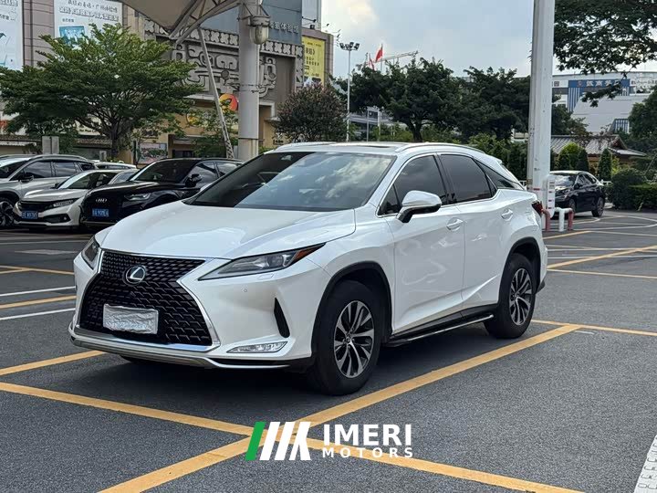 Lexus RX 2020 300 two-wheel drive comfort version National VI