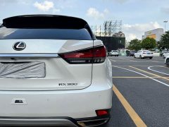 Lexus RX 2020 300 two-wheel drive comfort version National VI - фото 9