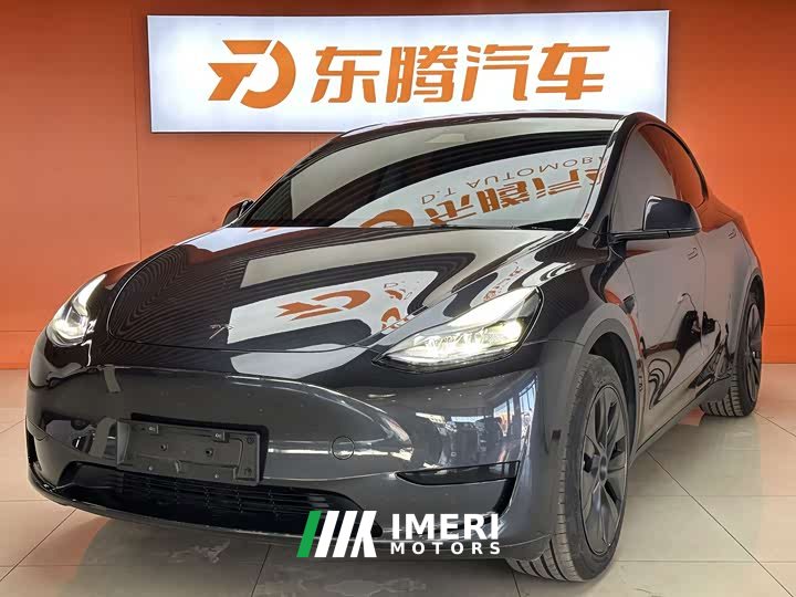 Tesla Model Y rear-wheel drive version - автомобиль из Китая
