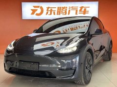 Tesla Model Y rear-wheel drive version - фото 1