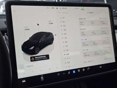 Tesla Model Y rear-wheel drive version - фото 14
