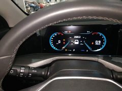 Ford EADO PLUS Blue Whale NE 1.4T GDI DCT Premium Edition - фото 12