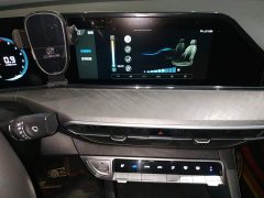 Ford EADO PLUS Blue Whale NE 1.4T GDI DCT Premium Edition - фото 13