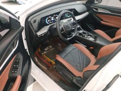 Ford EADO PLUS Blue Whale NE 1.4T GDI DCT Premium Edition - фото 16