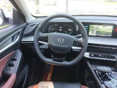Ford EADO PLUS Blue Whale NE 1.4T GDI DCT Premium Edition - фото 11