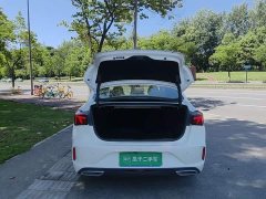 Ford EADO PLUS Blue Whale NE 1.4T GDI DCT Premium Edition - фото 19