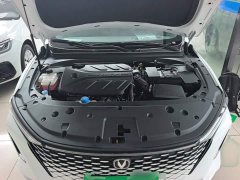 Ruicheng PLUS 2023 1.5T DCT flagship - фото 20