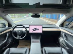 Tesla Model 3 rear-wheel drive version - фото 8