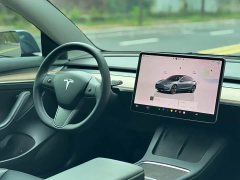 Tesla Model 3 rear-wheel drive version - фото 9