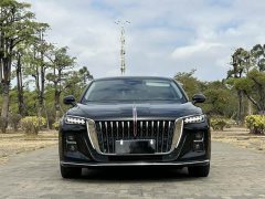Hongqi H5 2.0T Automatic Zhilianqichang Edition - фото 2
