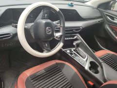 Ford EADO PLUS Blue Whale NE 1.4T GDI DCT Premium Type - фото 12
