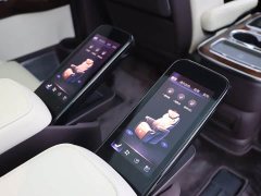 Hongqi HQ9 2023 2.0T Zhilian Qiling Edition - фото 15