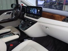 Hongqi HQ9 2023 2.0T Zhilian Qiling Edition - фото 9