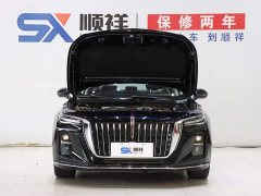 Hongqi H5 2.0T Automatic Zhilianqichang Edition - фото 19