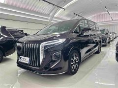 Hongqi HQ9 2.0T Zhilian Flagship Edition - фото 1