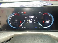 Ford Eado Enjoy Edition PLUS Blue Whale NE 1.4T GDI DCT Premium Edition - фото 12