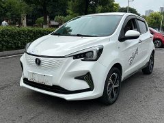 Changan Benben E-Star Enjoyable Version Colorful Version Three Yuan Lithium - фото 2