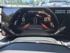 Ruicheng PLUS 1.5T DCT luxury - фото 14