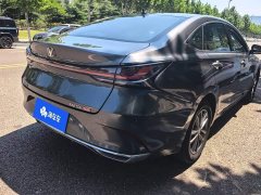 Ruicheng PLUS 1.5T DCT luxury - фото 3